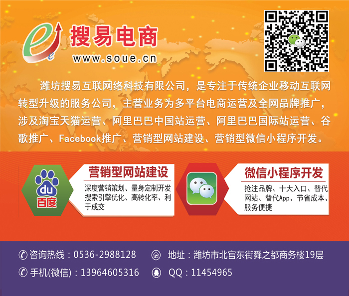 濰坊外貿(mào)型網(wǎng)站建設案例